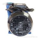 Aqua-Flo by Gecko XP2 2.5HP 1 speed (2x2)
