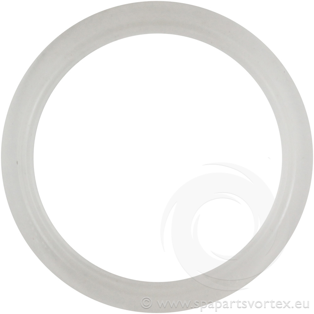 [JT-MJ342] Waterway Mini Jet Wall Fitting Gasket 