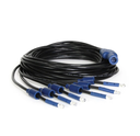 Gecko in.lu.me 6 LEDs spyder cable