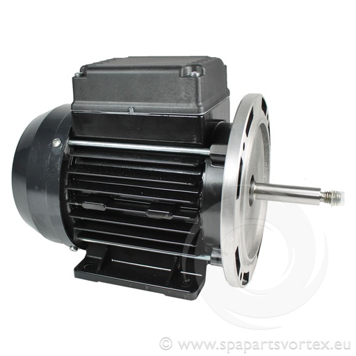 [PM-WW118] Waterway 1/8HP Iron Might Motor Only 